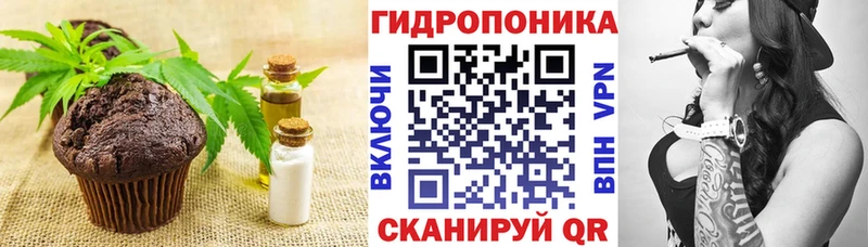 omg как зайти  где продают   Фрязино  Еда ТГК конопля 