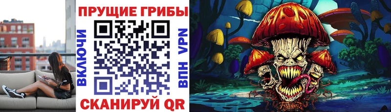 площадка какой сайт Фрязино Галлюциногенные грибы Magic Shrooms